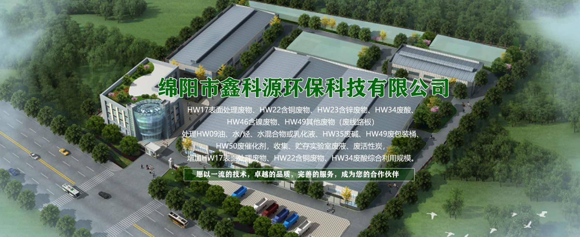 白姐全年正版王中王