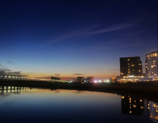 白姐全年正版王中王