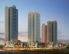 白姐全年正版王中王