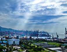 白姐全年正版王中王