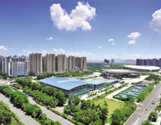 白姐全年正版王中王