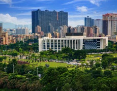 白姐全年正版王中王