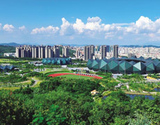 白姐全年正版王中王