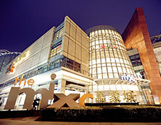 白姐全年正版王中王