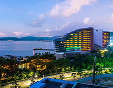 白姐全年正版王中王