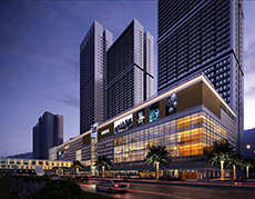 白姐全年正版王中王