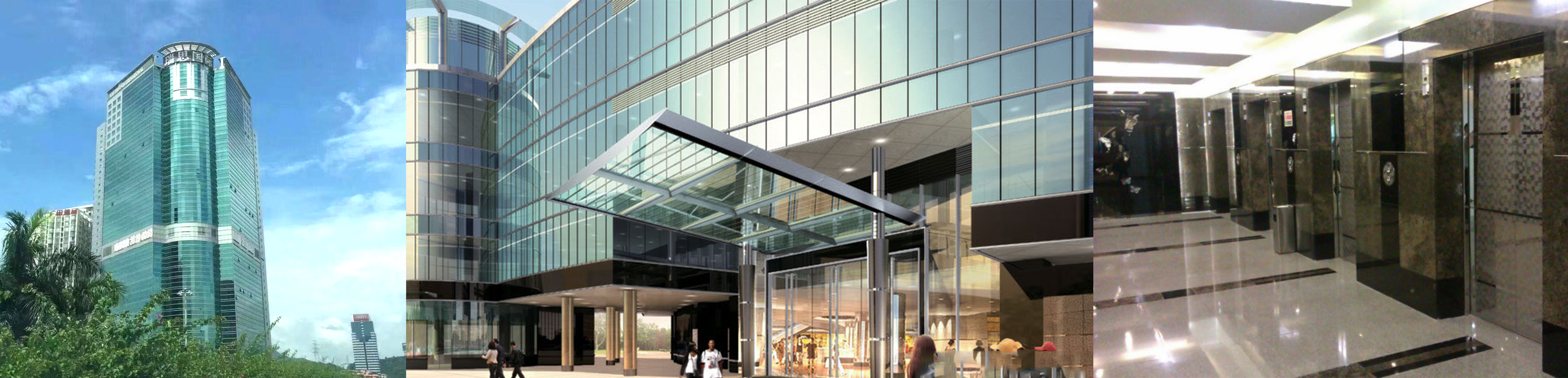 白姐全年正版王中王